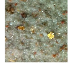 ������Ƭ��ʯ��